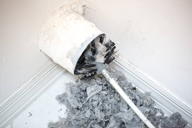 Best HVAC Air Duct Cleaning  in Wailua, HI